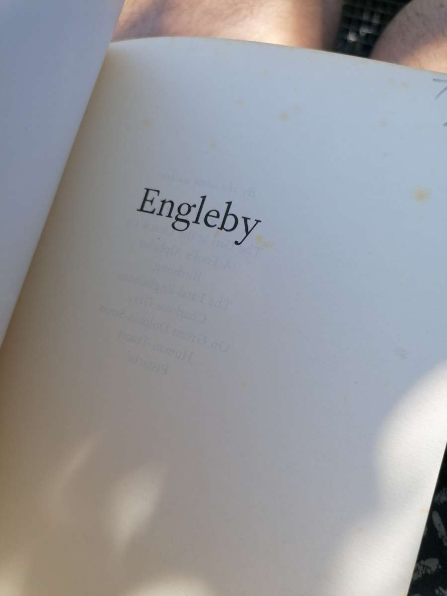 Engleby Novel by Sebastian Faulks