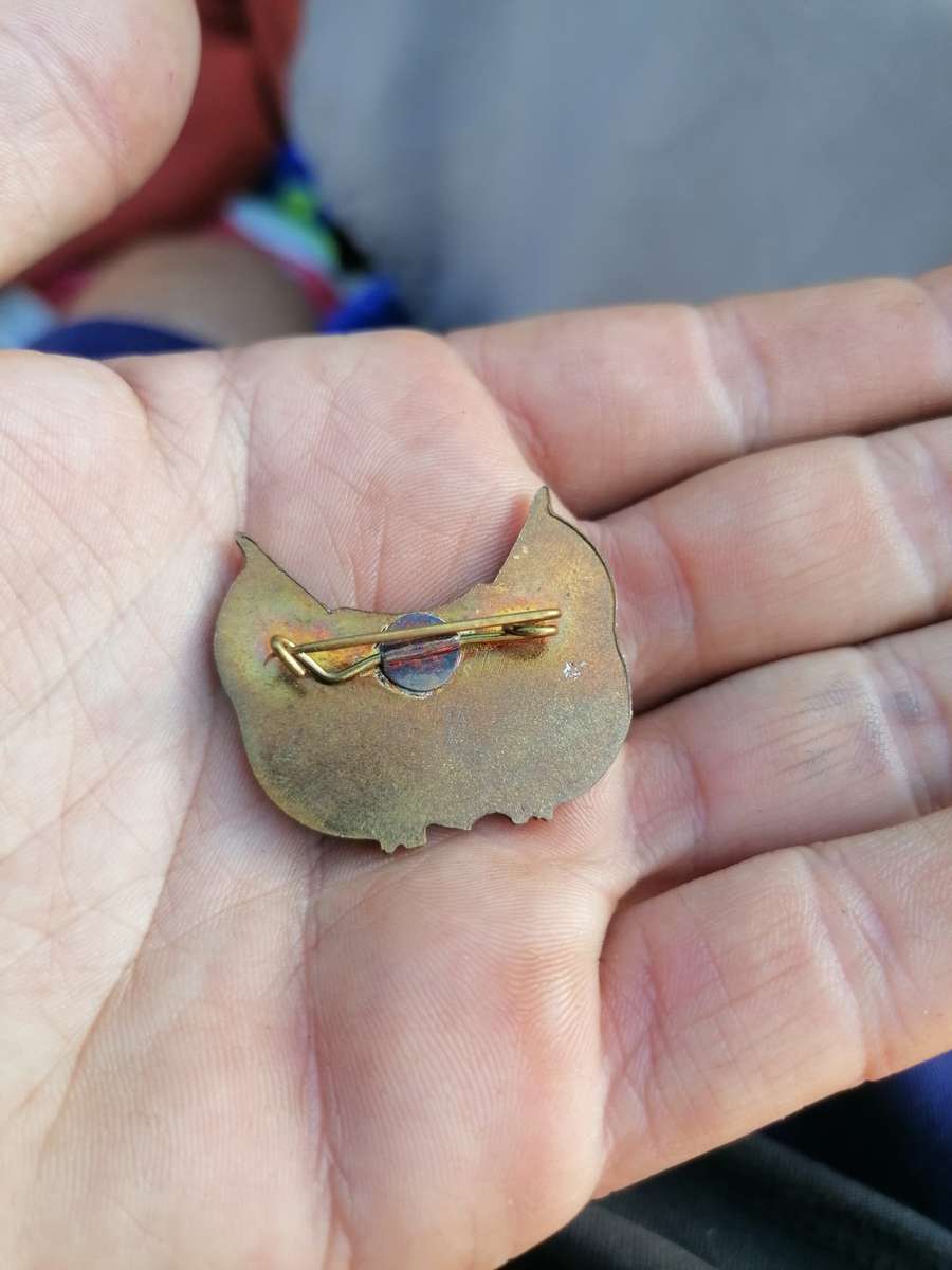 Old OFS Orange Free State Coat of Arms Metal Buttonhole Badge