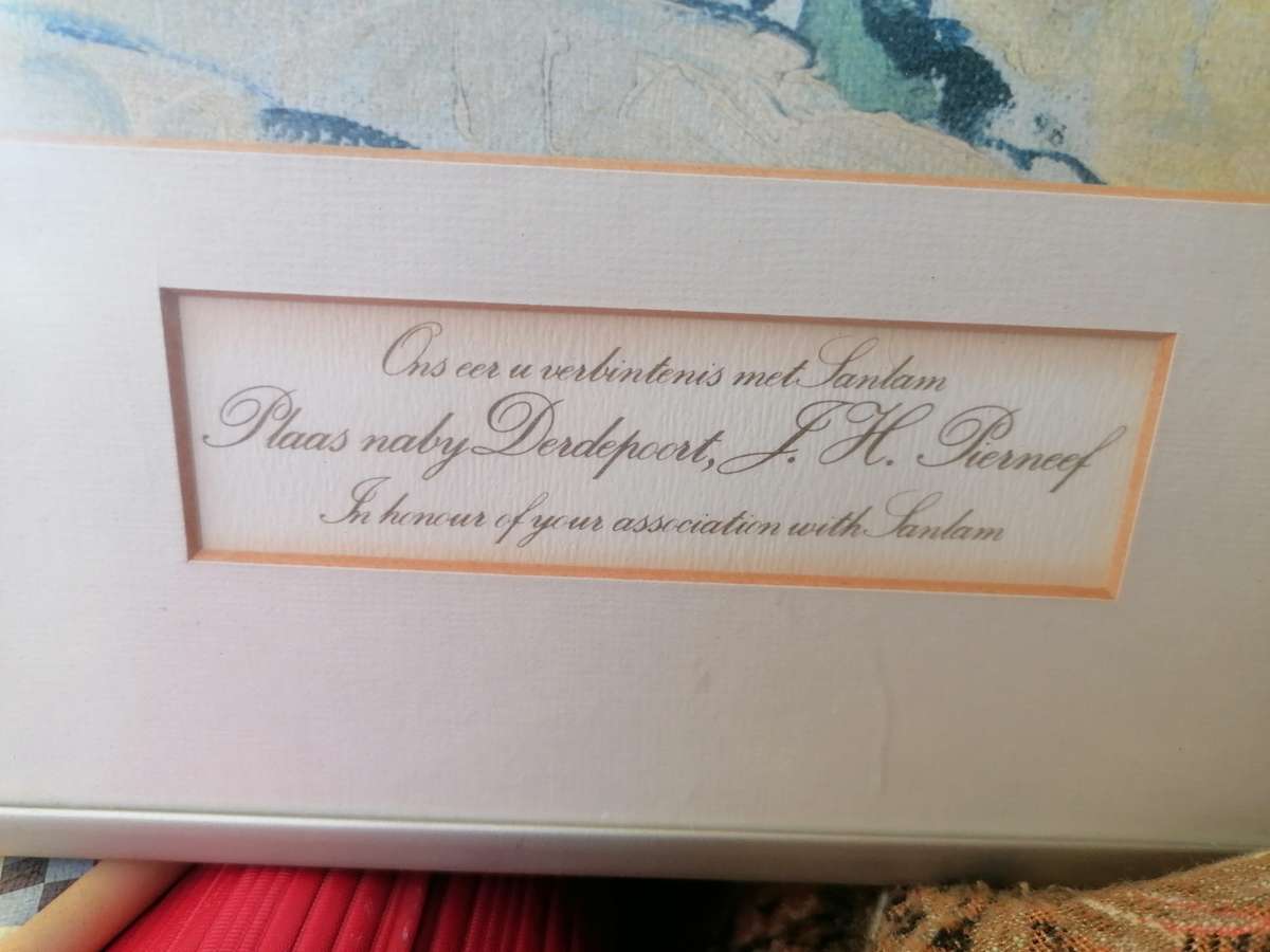 SANLAM PIERNEEF PLAAS NABY DERDEPOORT AFDRUK