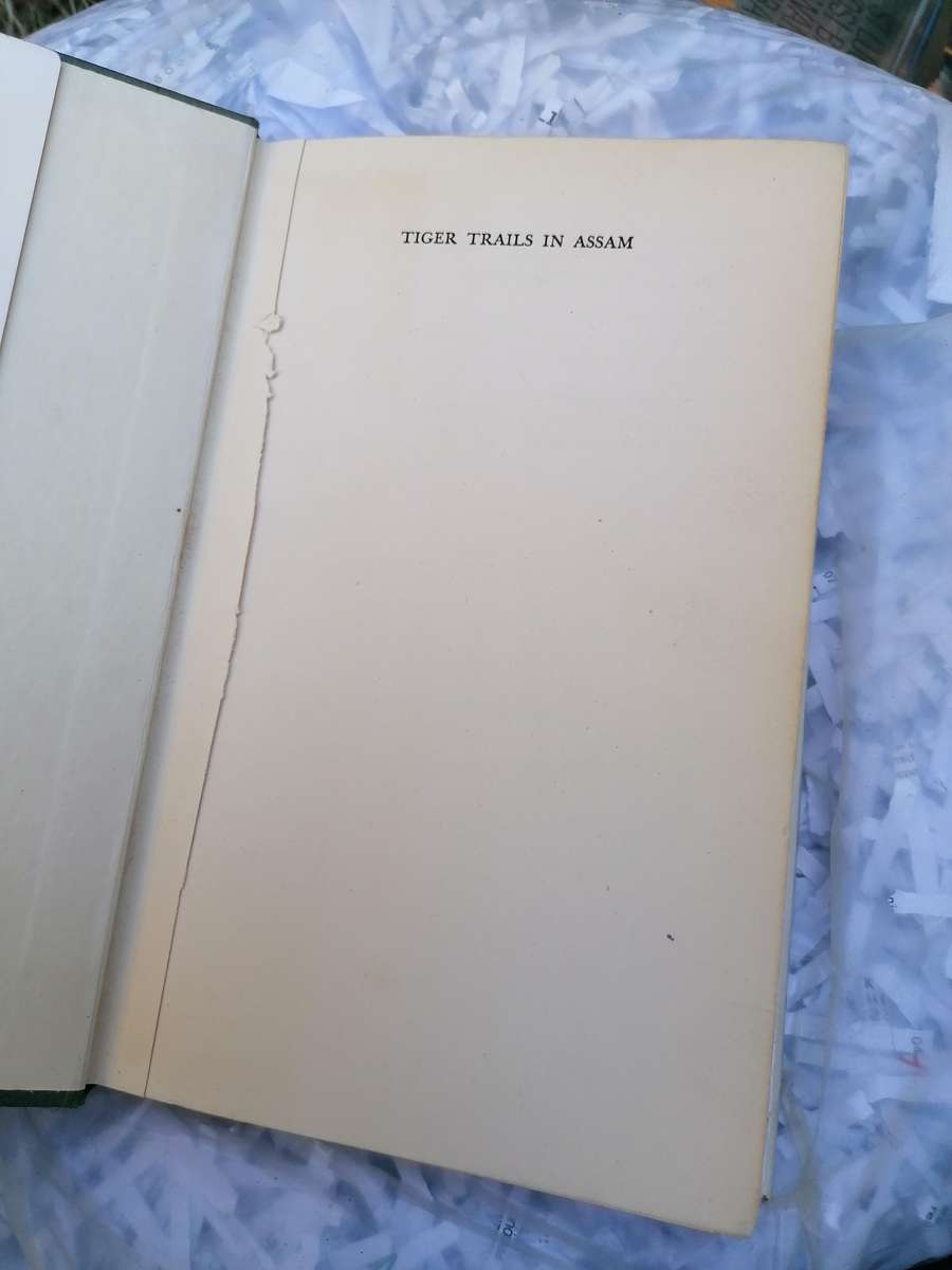 TIGER TRAILS IN ASSAM - PATRICK HANLEY