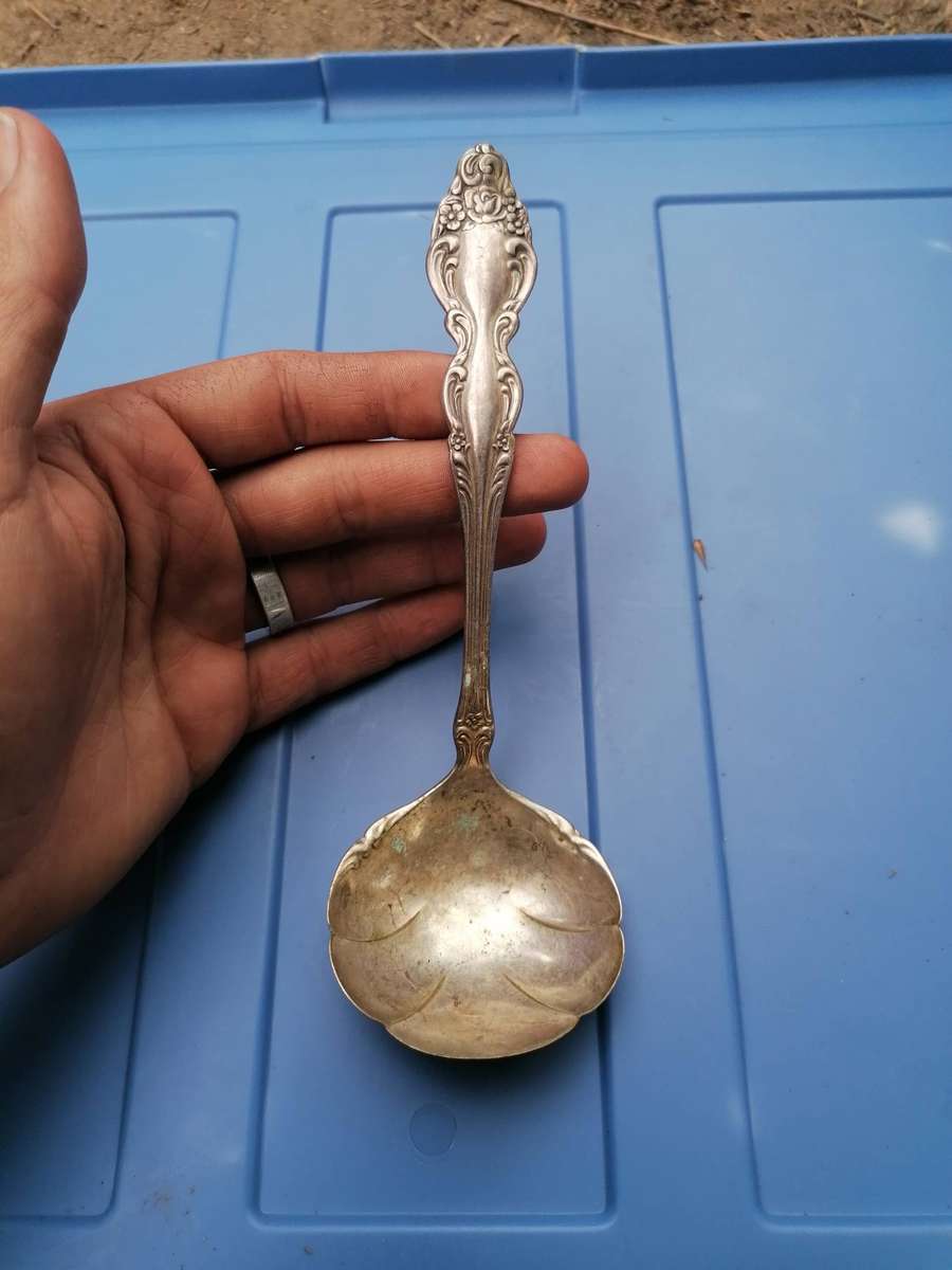 Stunning detailed 1881 Rogers marked spoon