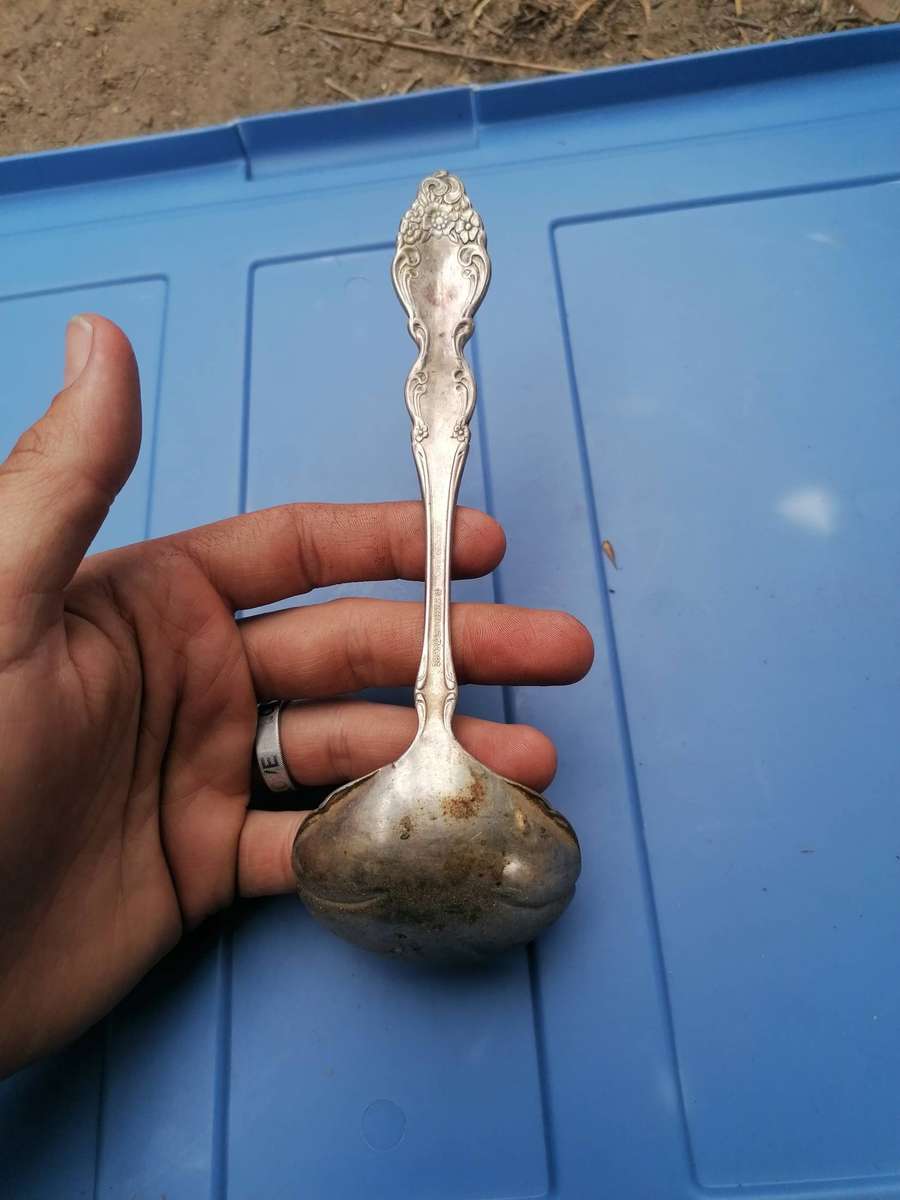 Stunning detailed 1881 Rogers marked spoon