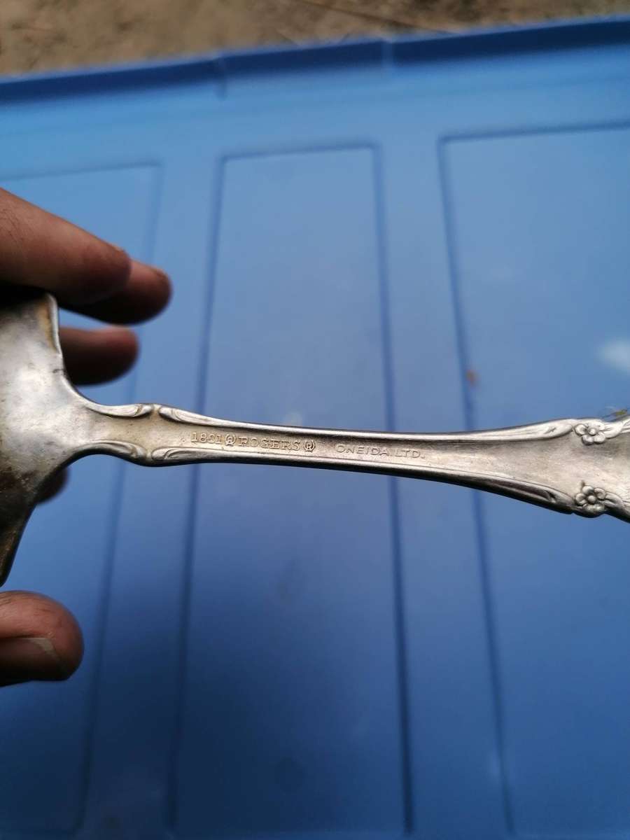 Stunning detailed 1881 Rogers marked spoon