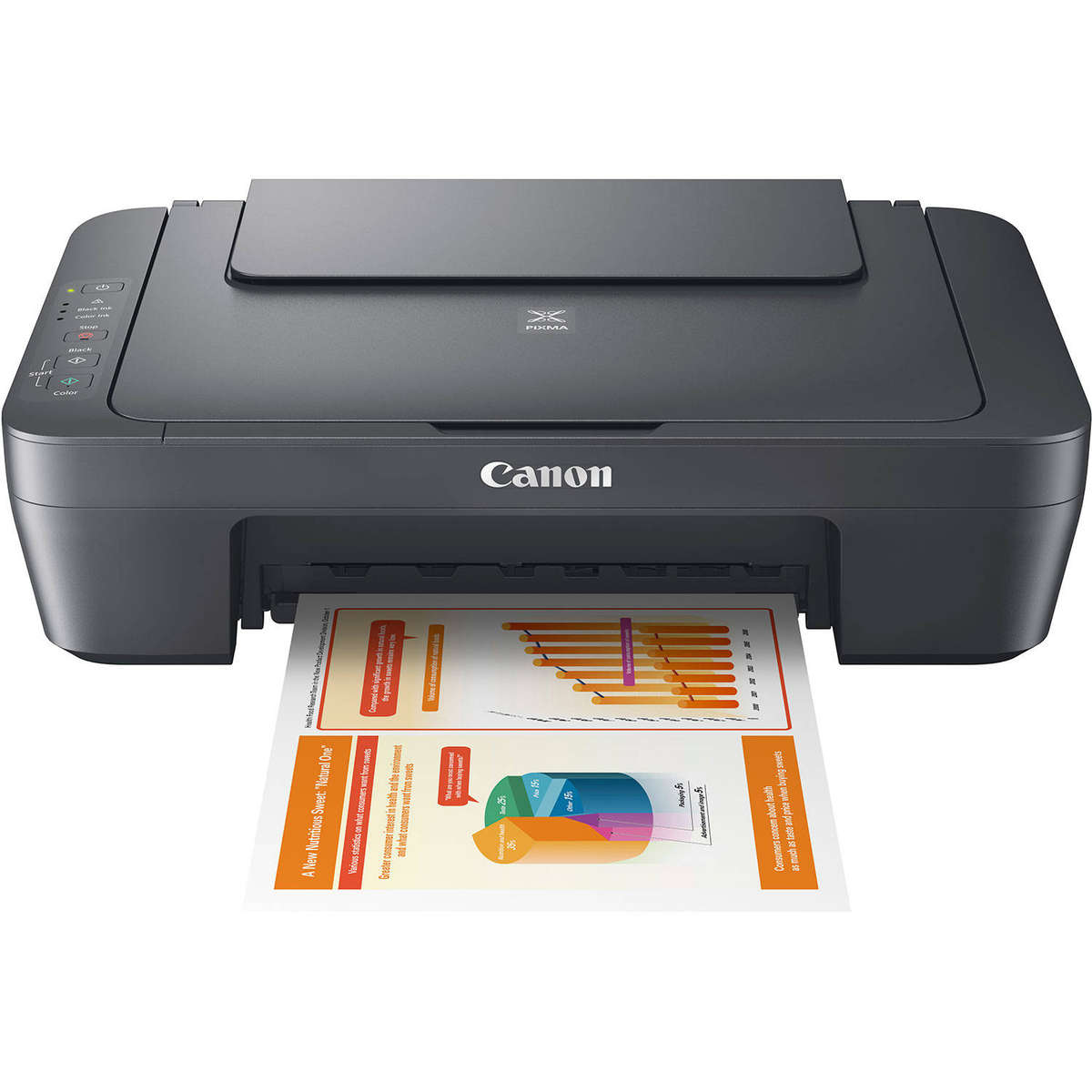Pixma MG 2541S