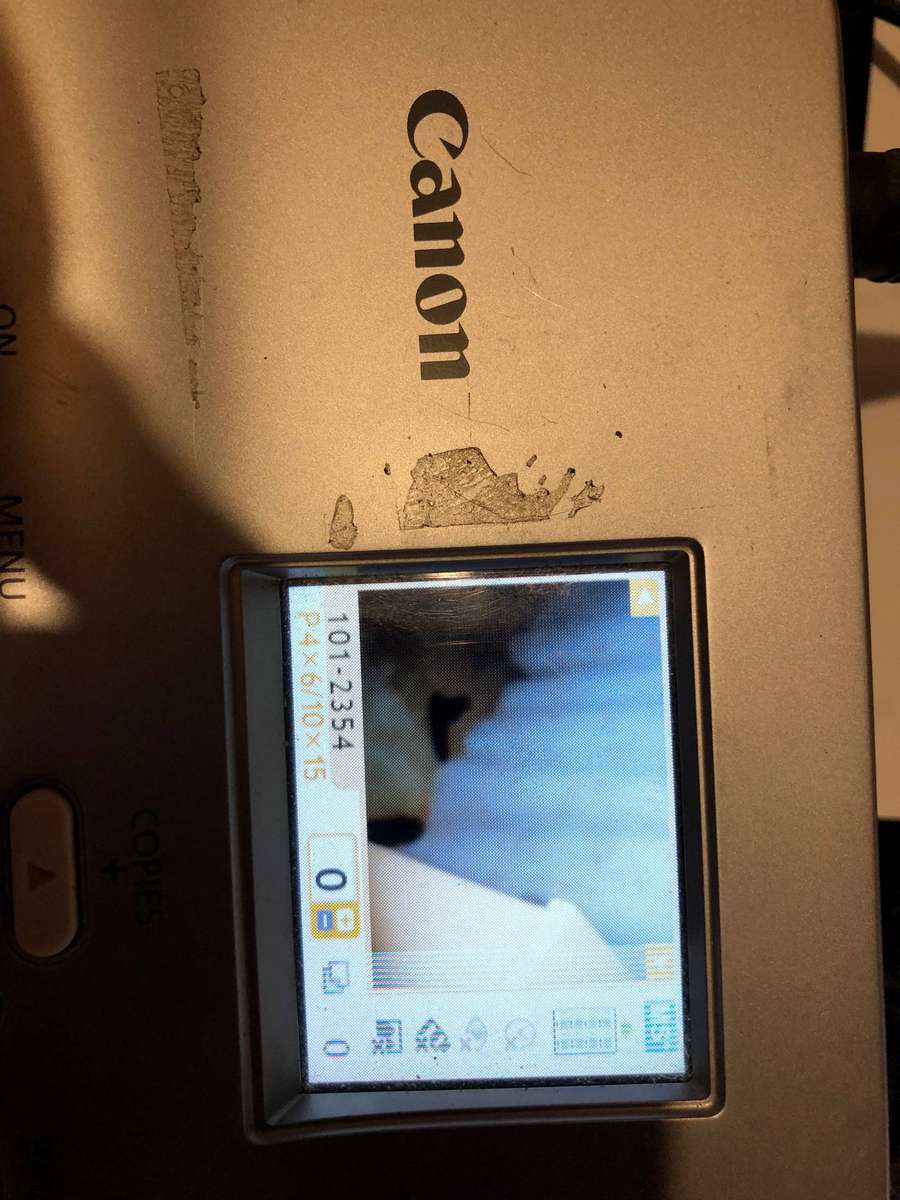 Canon Selphy CP780