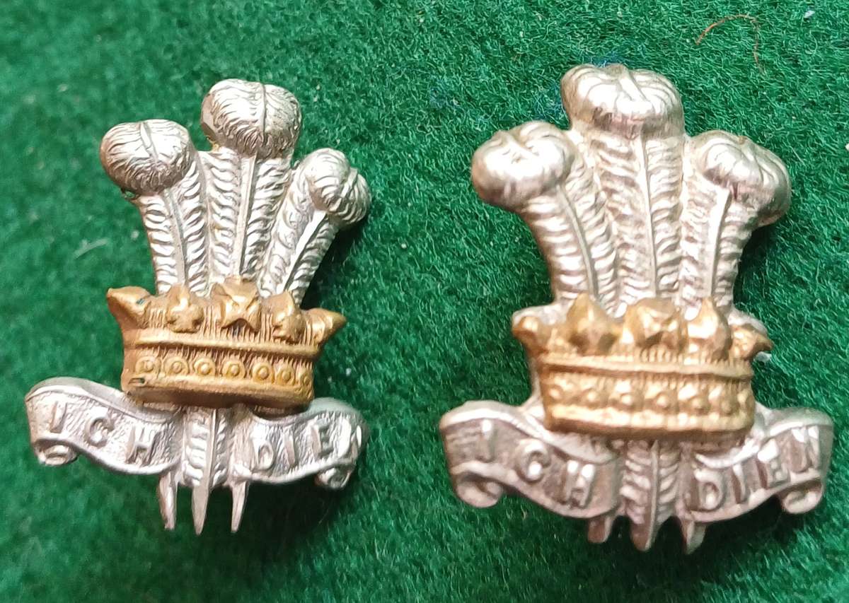 British Army, West Yorkshire Regt, (PoW own) BiM collars pair