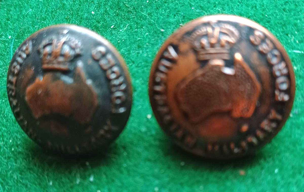 Australian Commonwealth Military Forces bronze buttons x 2