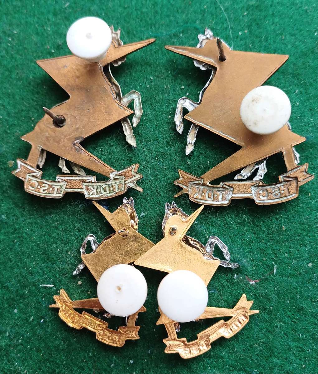 SADF Technical Services Corps, set of BiM, collars and mess dress collars.