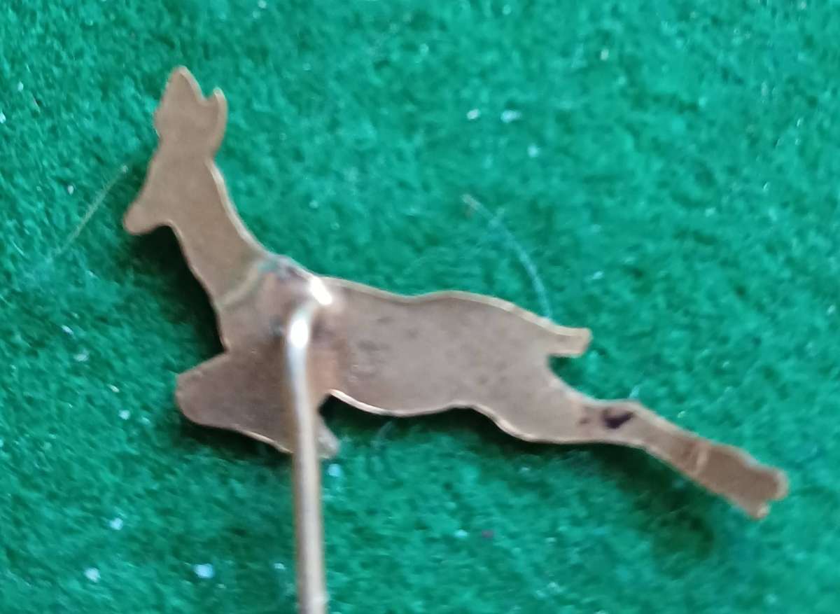 SA Springbok lapel pin badge
