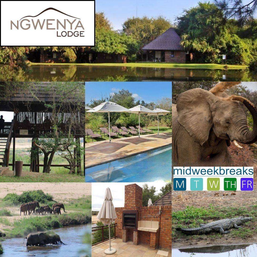 Midweek @ Ngwenya Lodge,Komatipoort from 01 - 05 Dec 2025 (4 Nights) 1 Bedrooms/sleeps 4