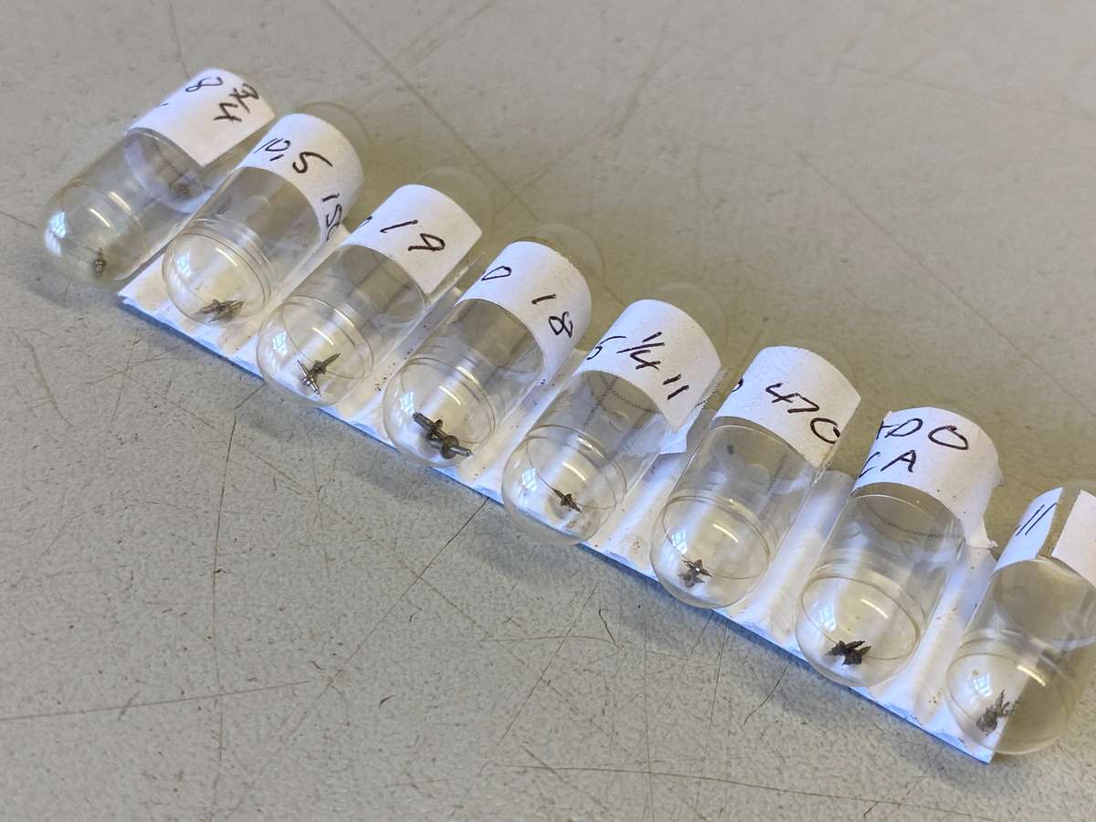 MOVADO - assorted balance staffs