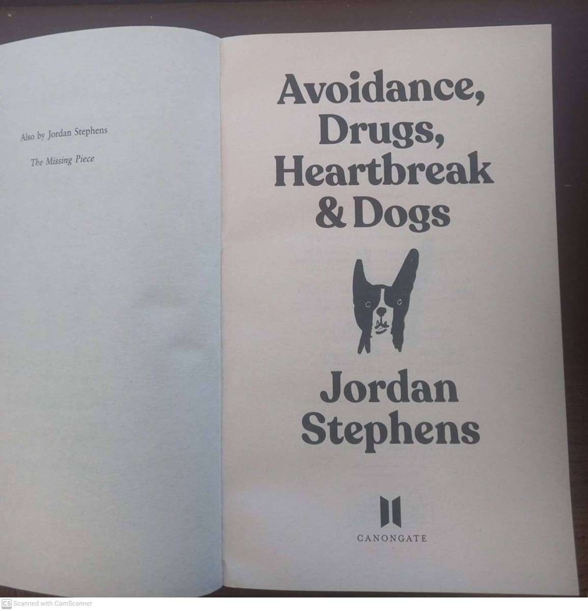 Avoidance, Drugs, Heartbreak and Dogs - Jordan Stephens