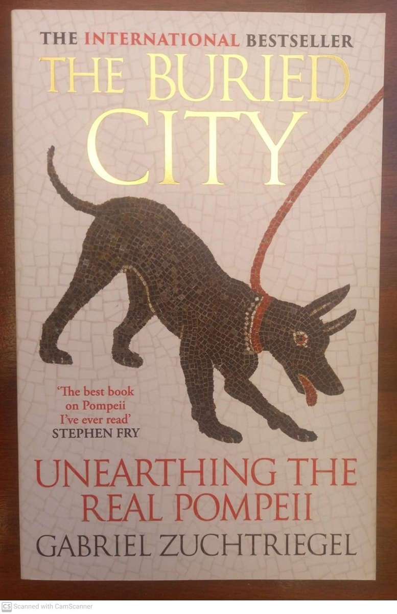 The Buried City: Unearthing the Real Pompeii   --  Gabriel Zuchtriegel
