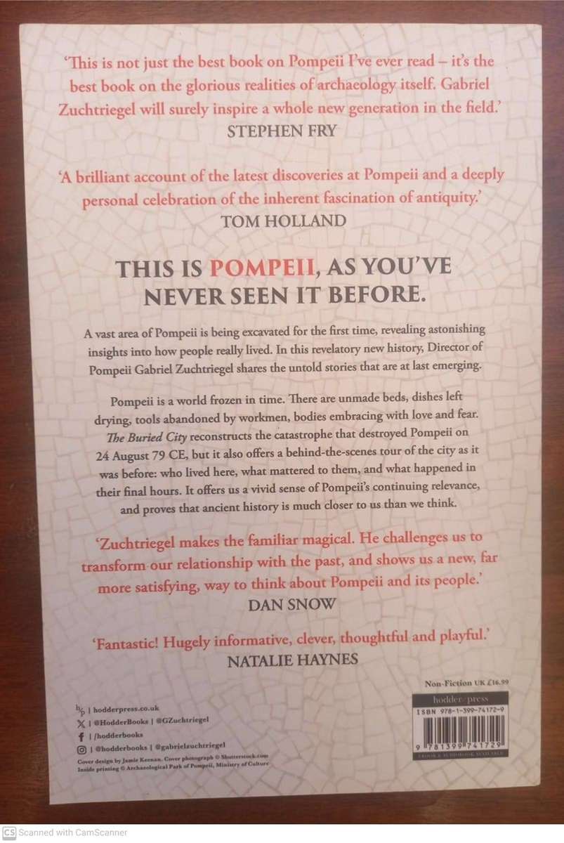 The Buried City: Unearthing the Real Pompeii   --  Gabriel Zuchtriegel