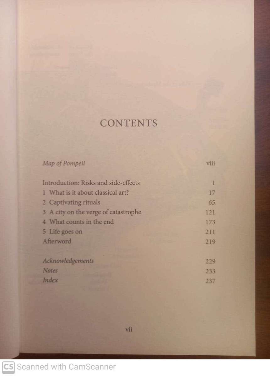 The Buried City: Unearthing the Real Pompeii   --  Gabriel Zuchtriegel
