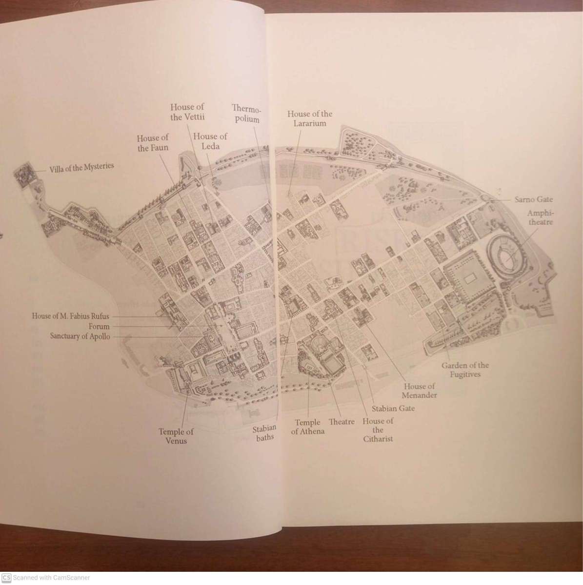 The Buried City: Unearthing the Real Pompeii   --  Gabriel Zuchtriegel