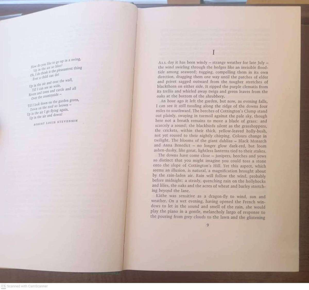 The Girl in a swing - Richard Adams