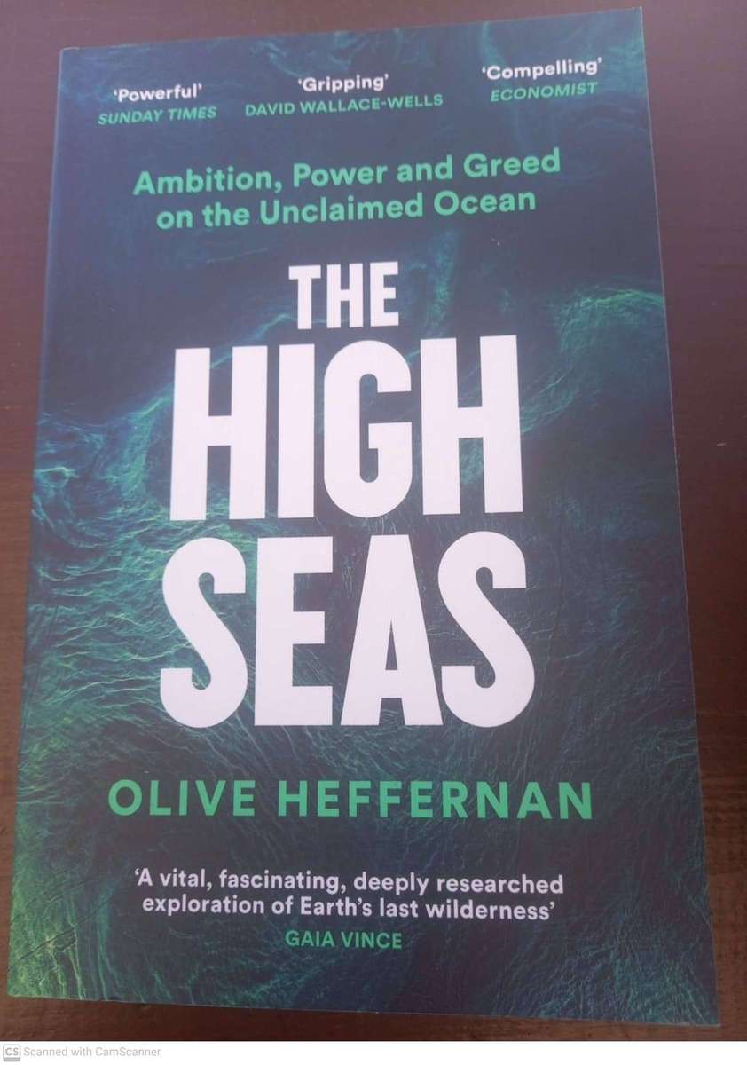 The High Seas: Ambition, Power and Greed on the Unclaimed Ocean -  Olive Heffernan