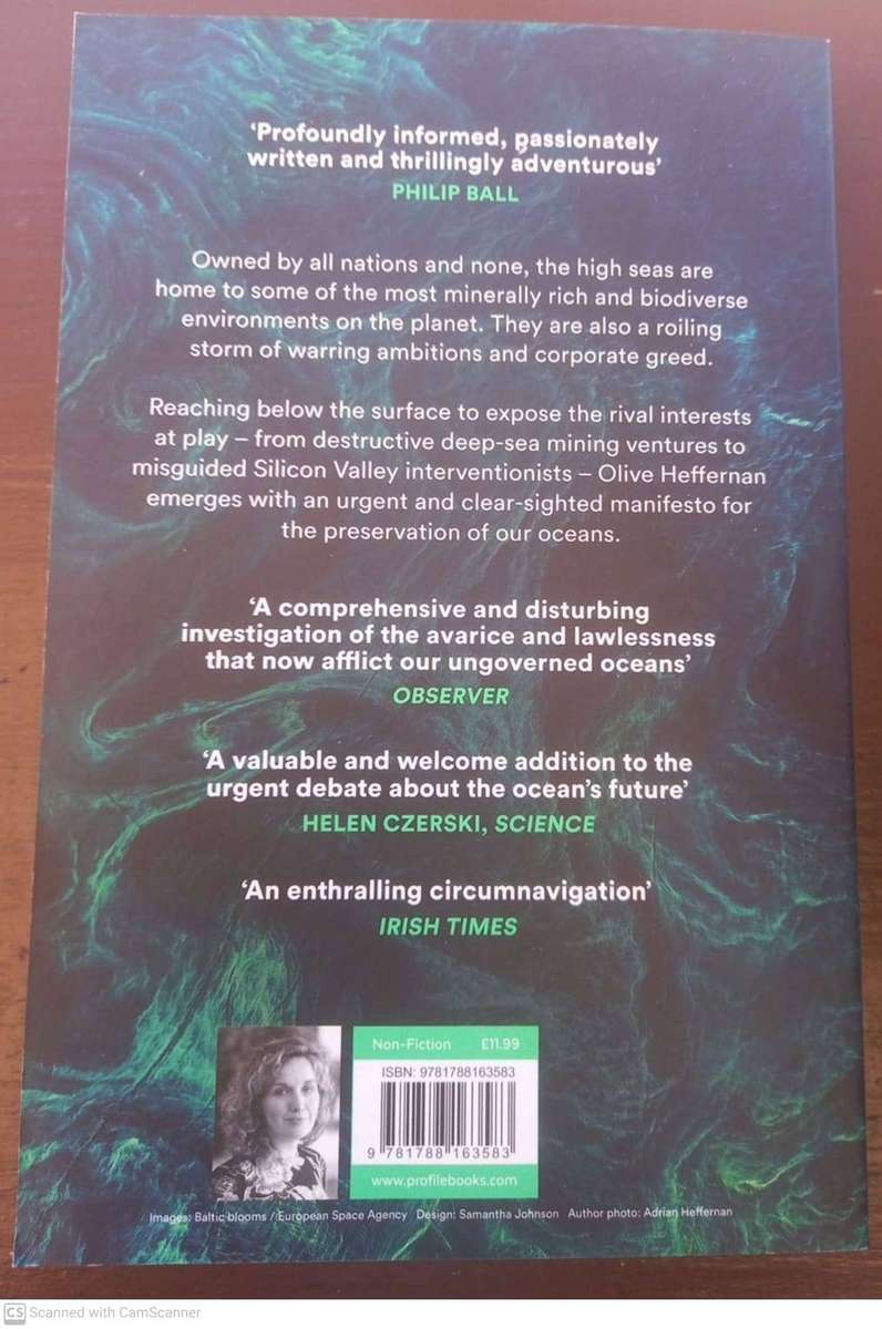 The High Seas: Ambition, Power and Greed on the Unclaimed Ocean -  Olive Heffernan