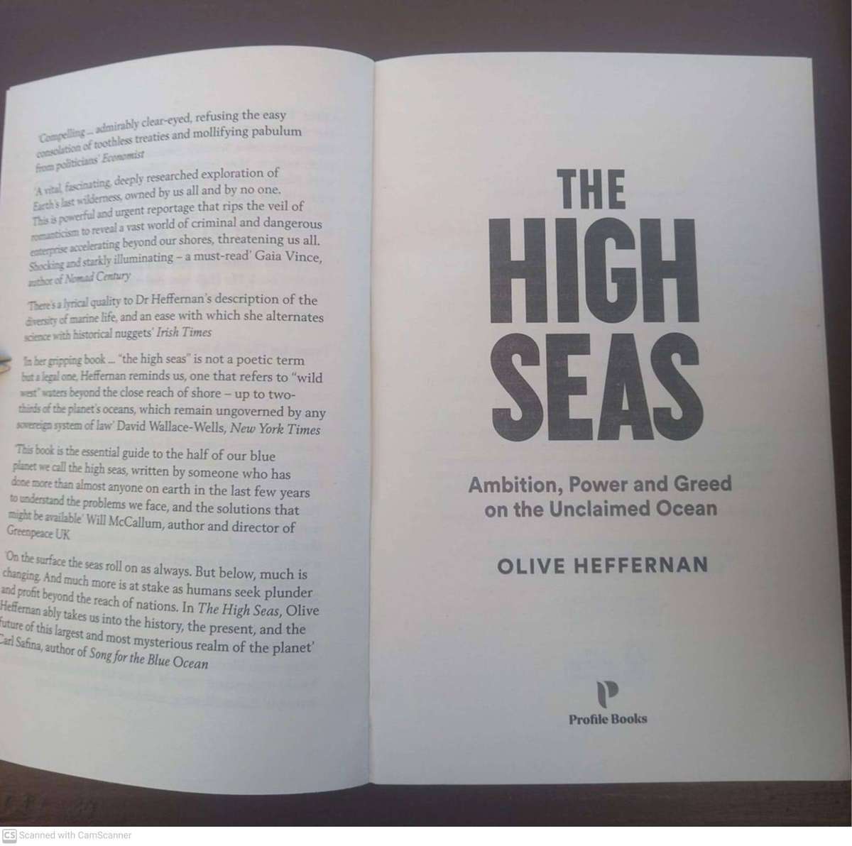 The High Seas: Ambition, Power and Greed on the Unclaimed Ocean -  Olive Heffernan