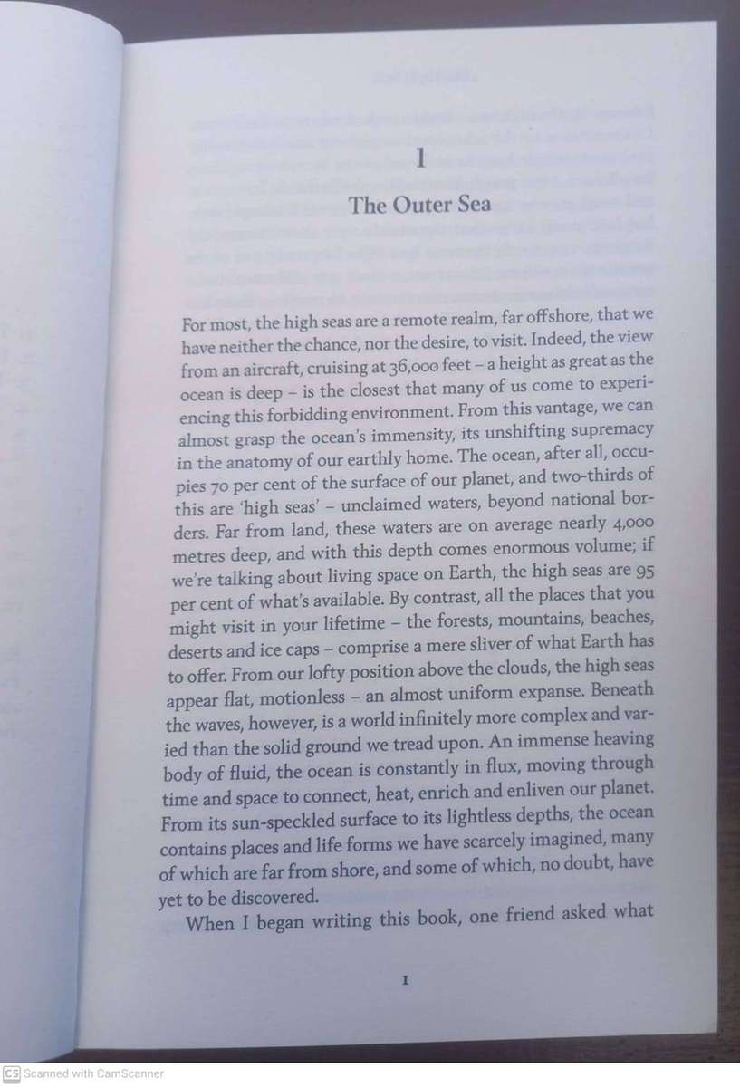 The High Seas: Ambition, Power and Greed on the Unclaimed Ocean -  Olive Heffernan