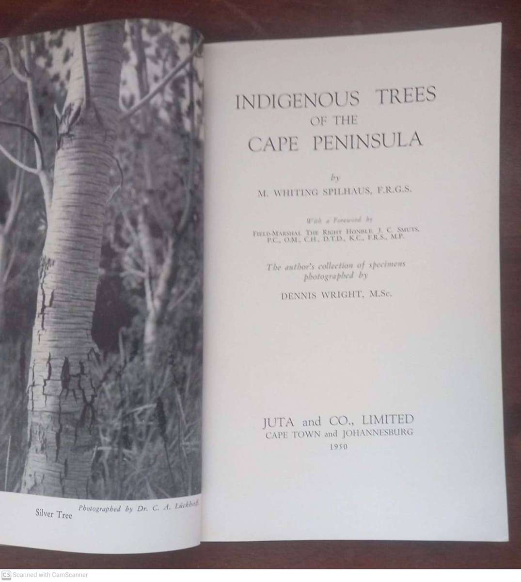 Indigenous Trees of the Cape Peninsula  - M. Whiting Spilhaus
