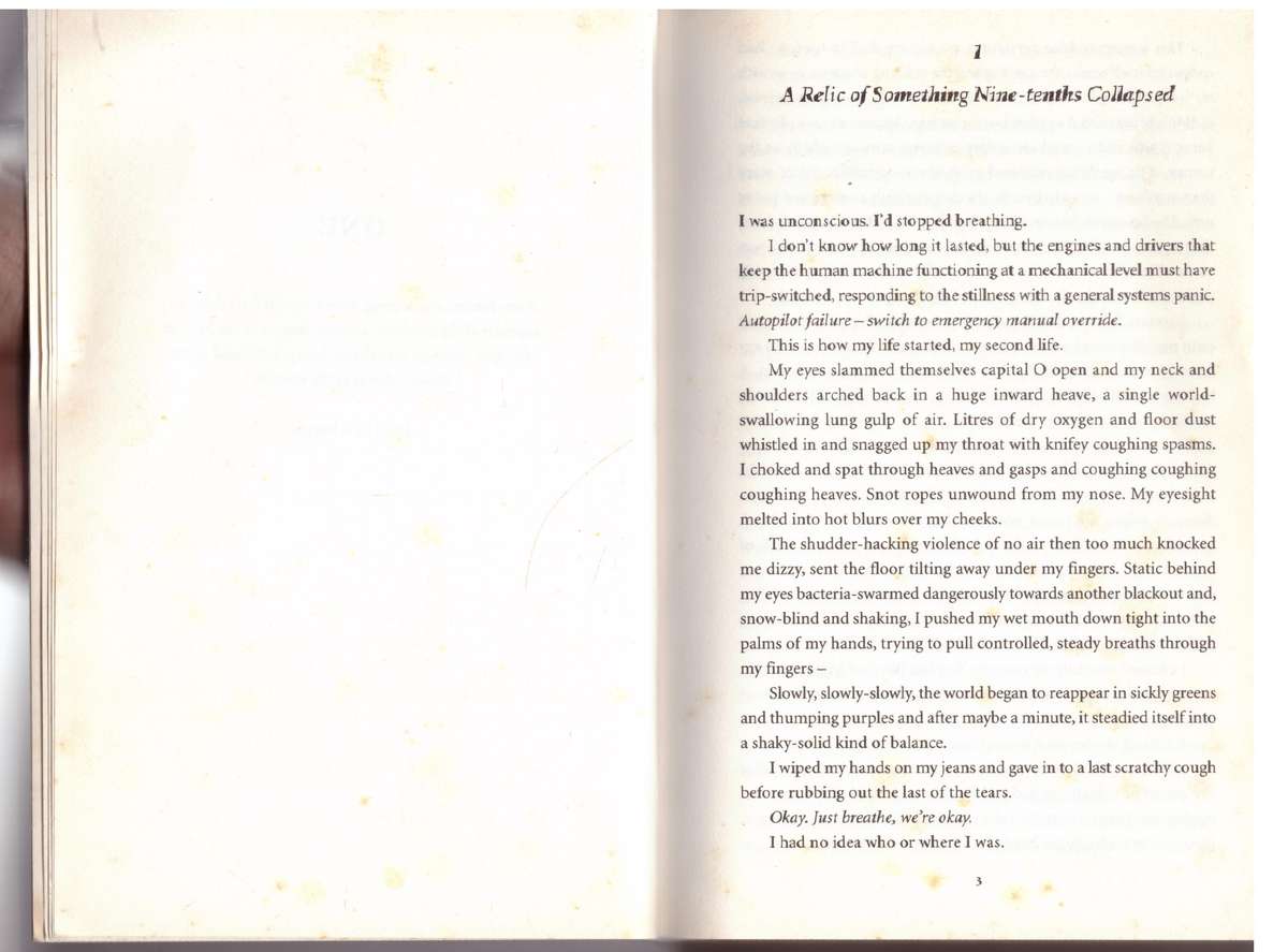 The Raw Shark Texts - Steven Hall