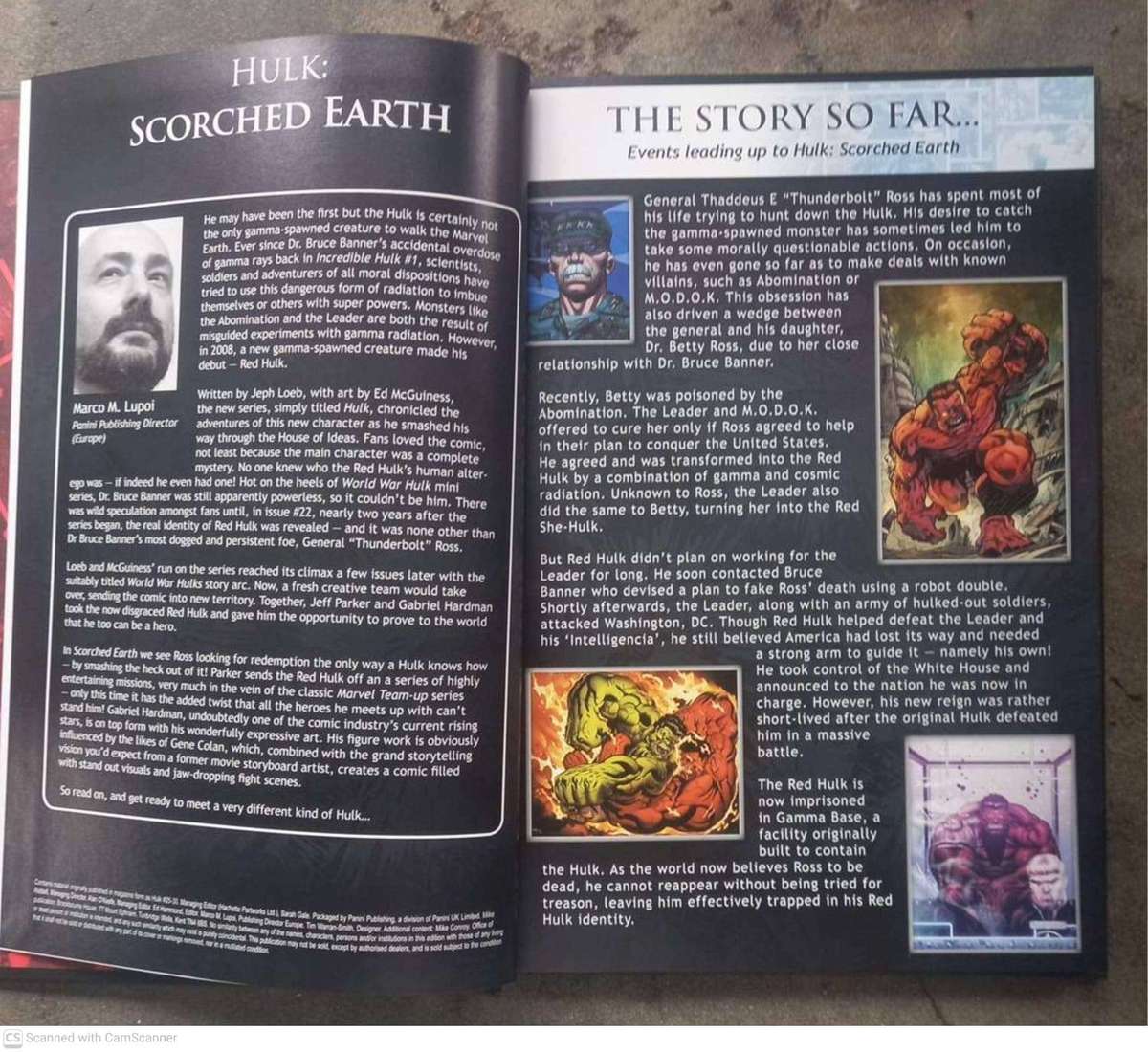 Hulk: Scorched Earth (Marvel Ultimate Graphic Novels Collection, Vol. 67)