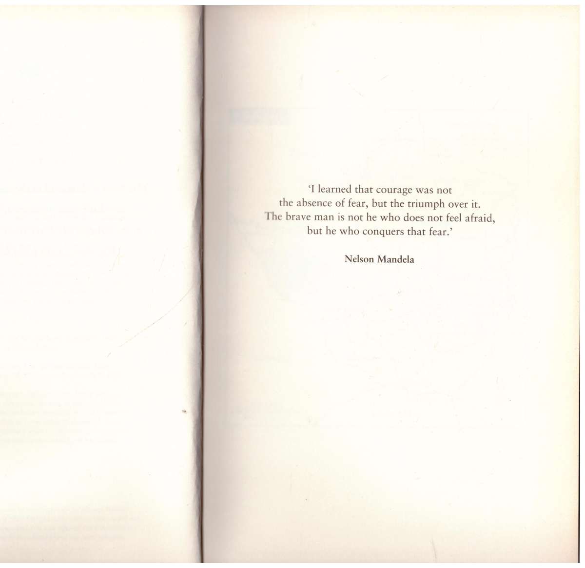 The Fear: The Last Days of Robert Mugabe  --   Peter Godwin