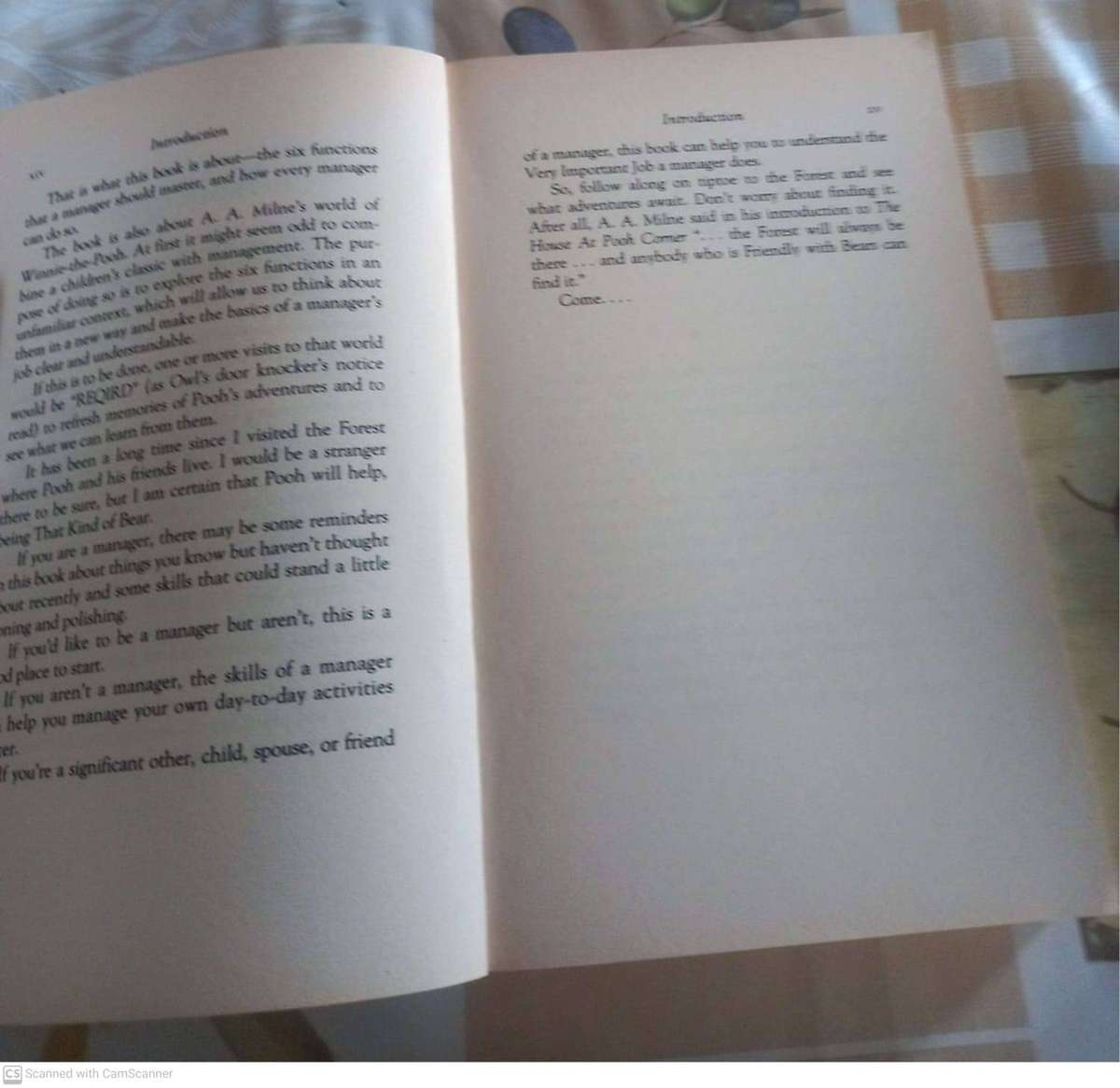 Winnie-the-Pooh on management and problem solving -- Roger E. Allen,Stephen D. Allen