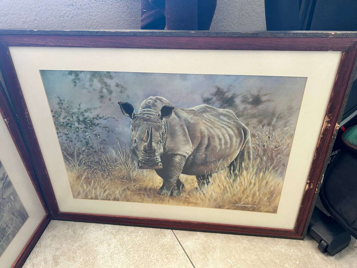 Portrait Lot - Lion,Buffalo, Rhino - 770x 570
