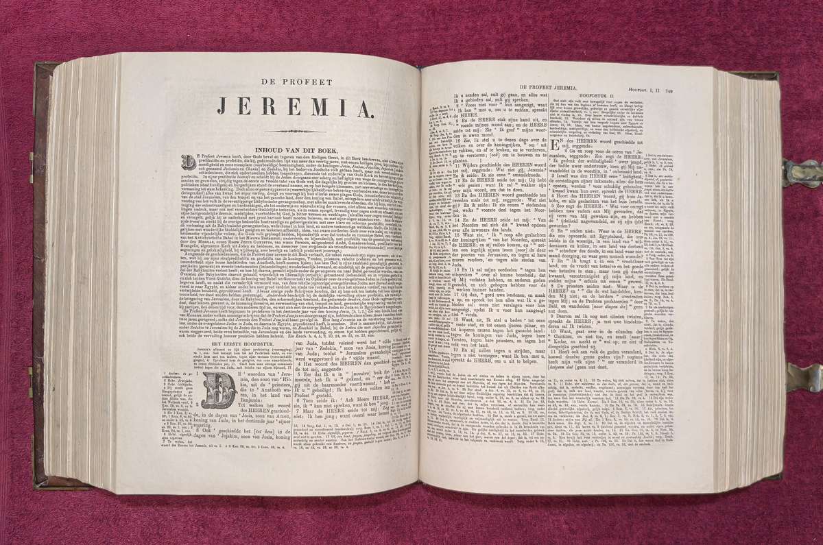 WINSKOOP VAN DIE WEEK:  1864 Nederlandse Statebybel  /  1864 Antique Dutch Bible