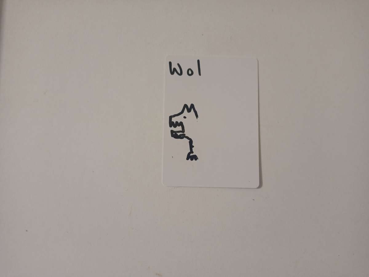 Reusable Dry-Erase Playing Cards (MTG, Token, TCG)