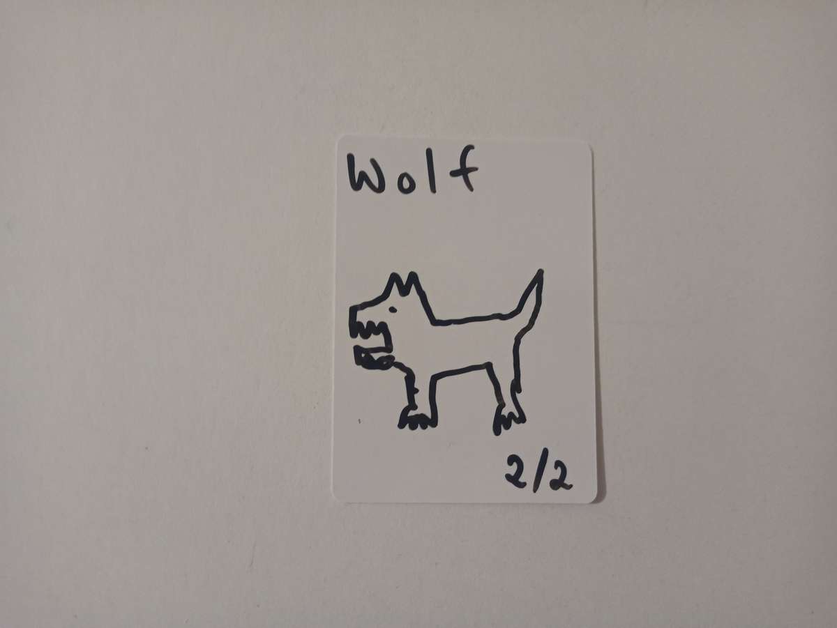 Reusable Dry-Erase Playing Cards (MTG, Token, TCG)