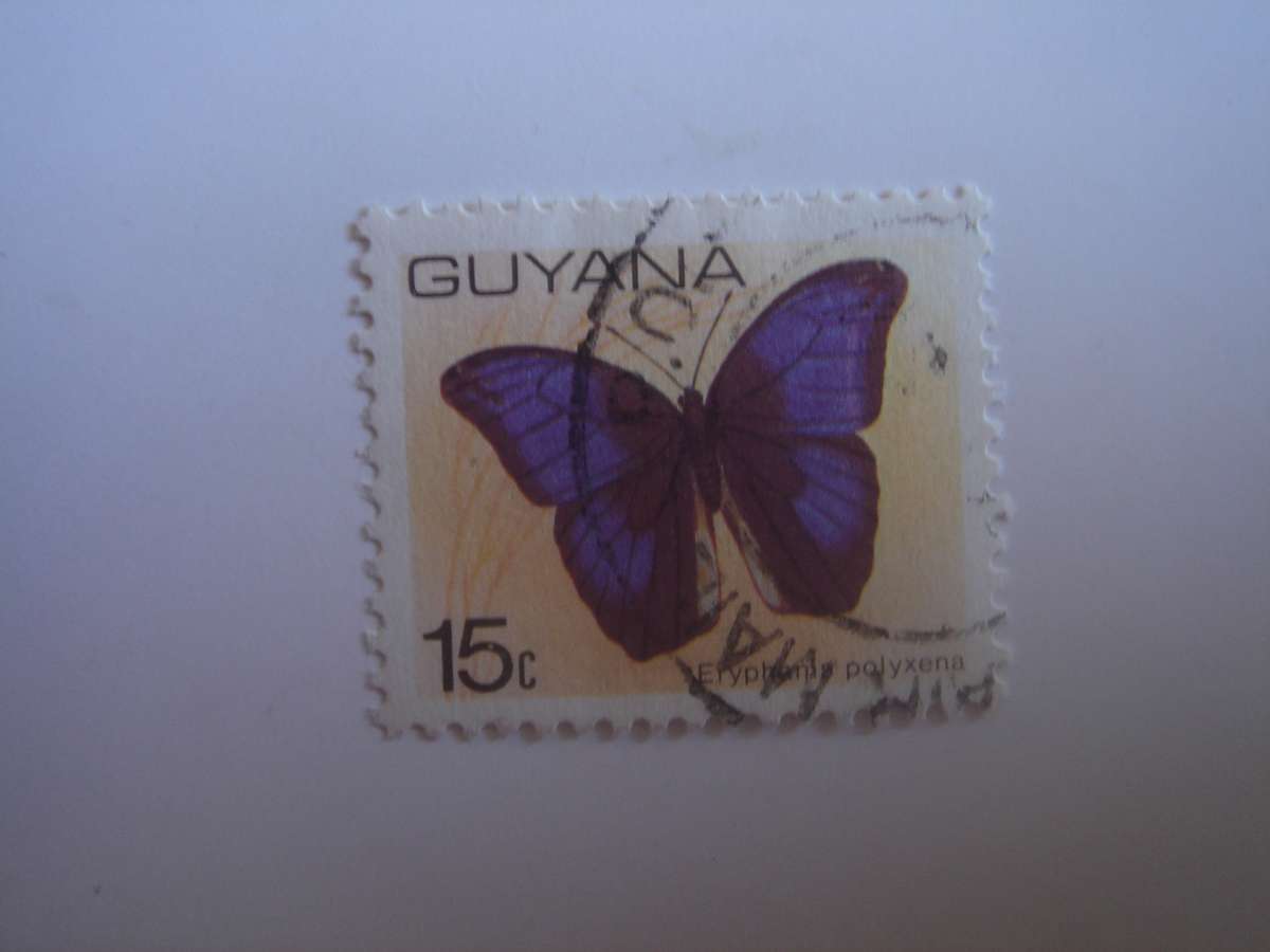 1978 Guyana - Butterfly 15 c - SG700 used, stamped