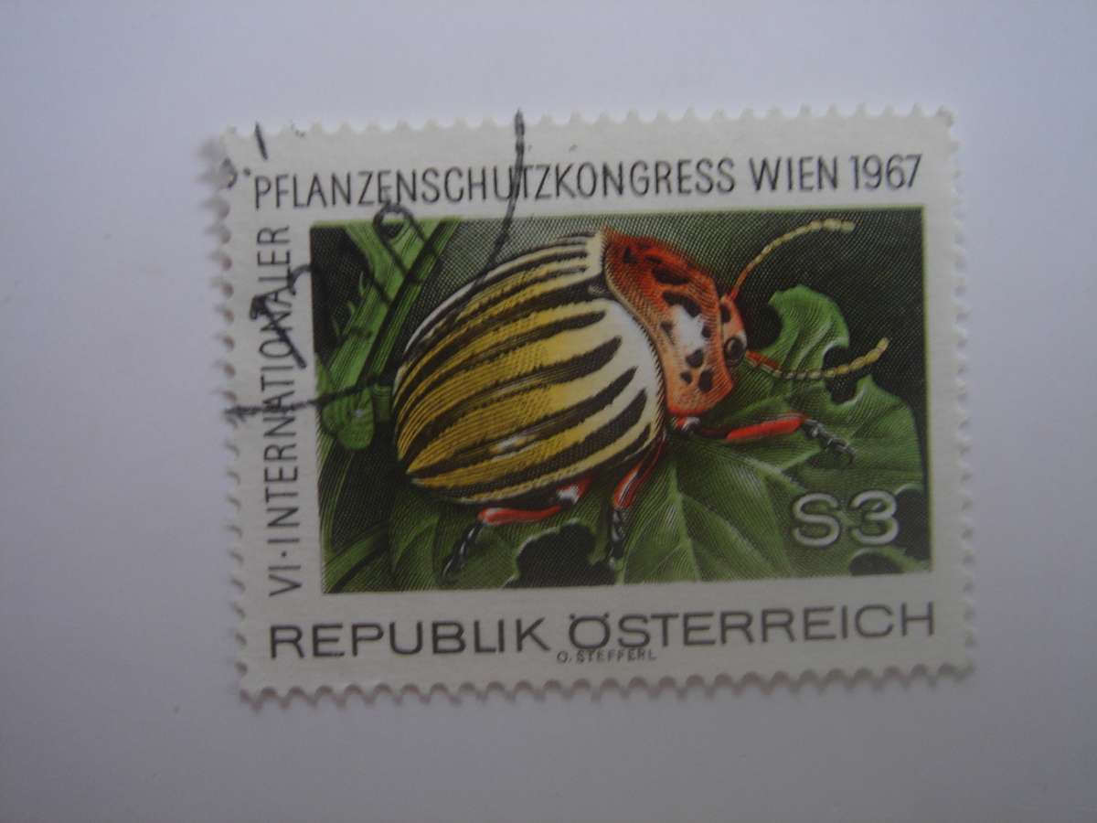 1967 Austria - Colorado Beetle 3 S - SG1504 used, stamped