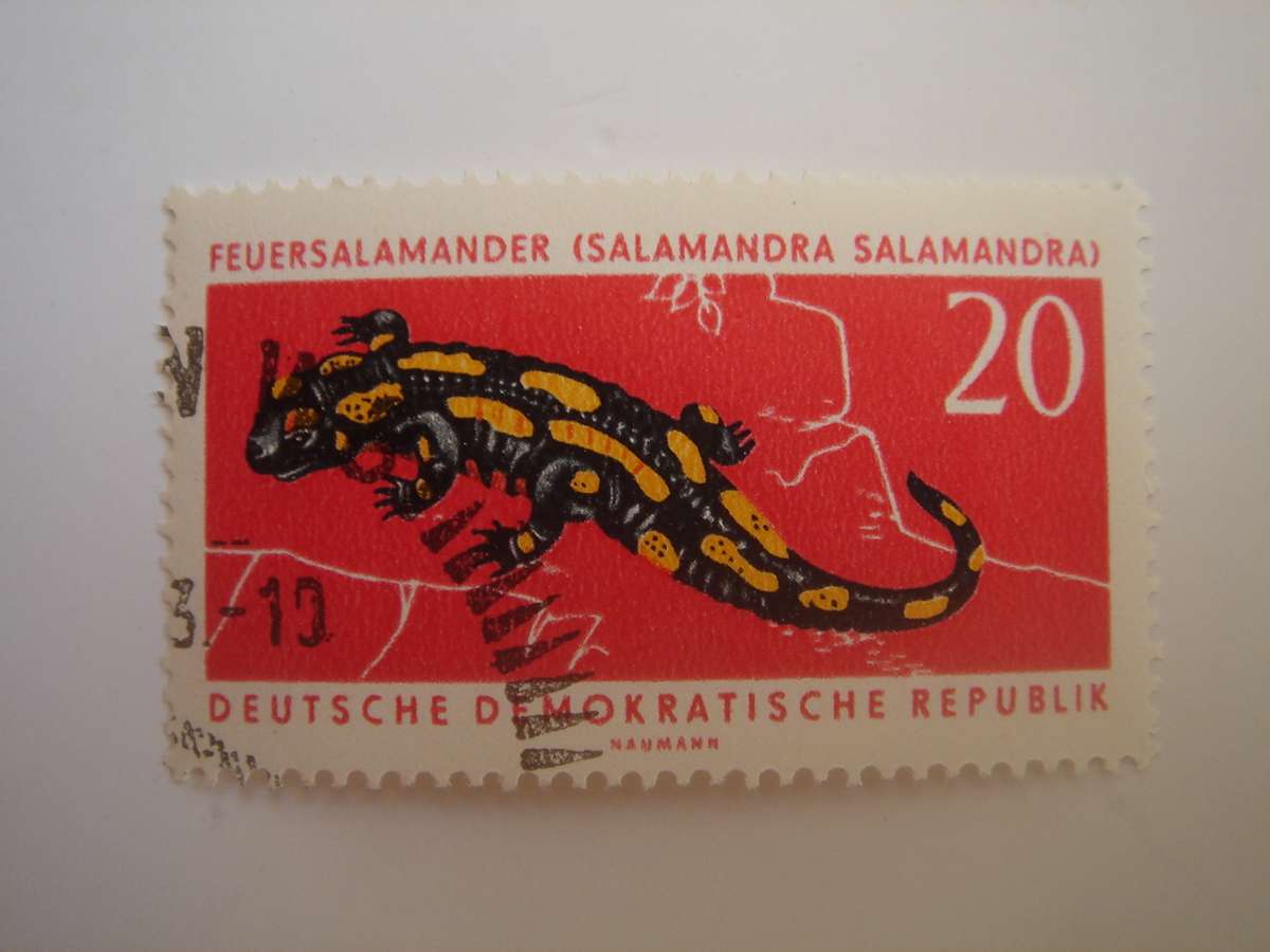 1963 DDR MiNr 979 used, stamped