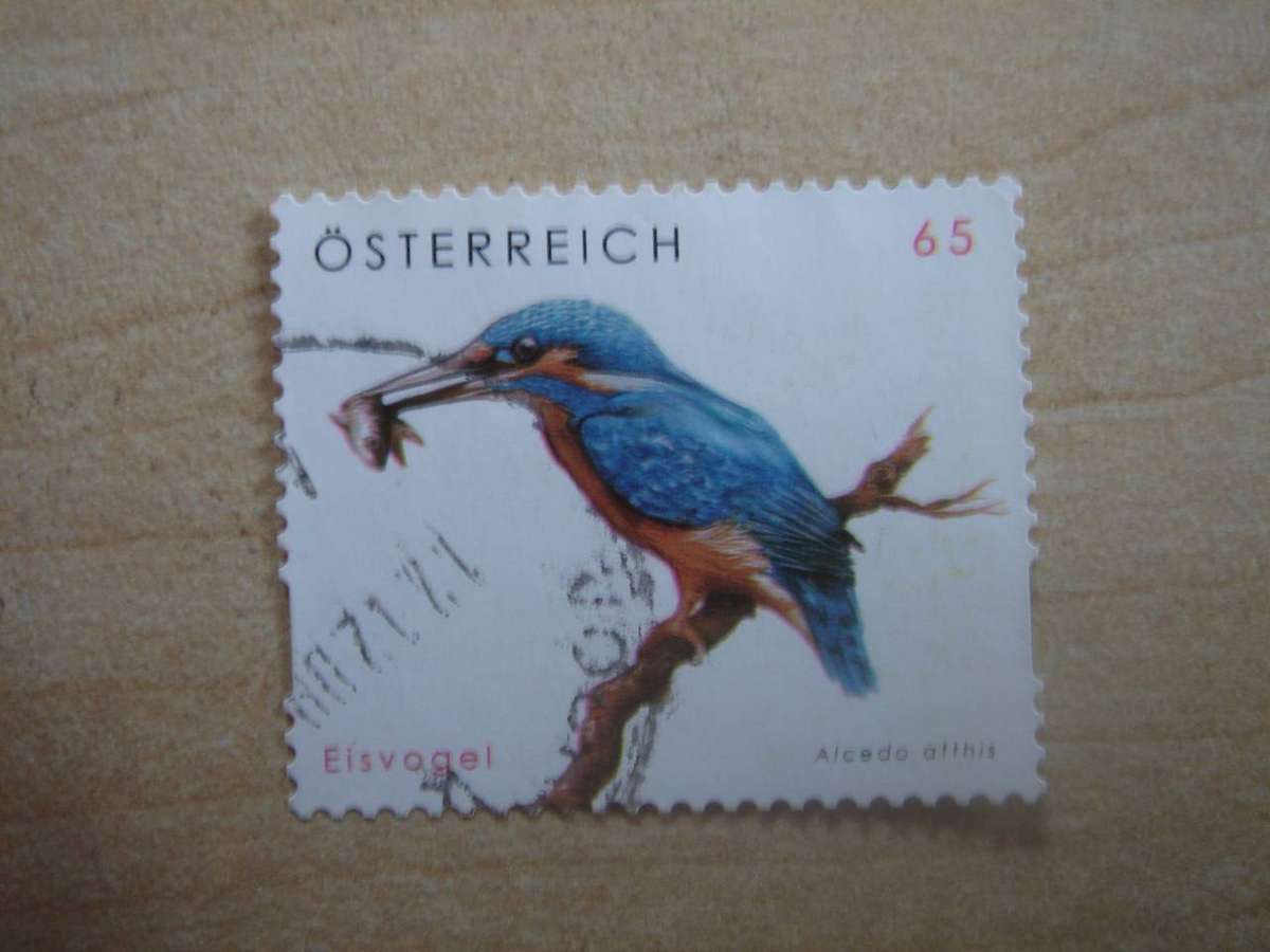 2008 Austria - Eisvogel EUR 0,65 - MiNr 2717 used, stamped