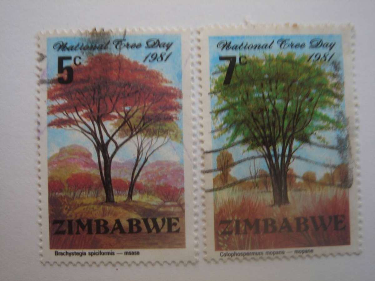 1981 Zimbabwe - Tree Day 5c, 7c used, stamped
