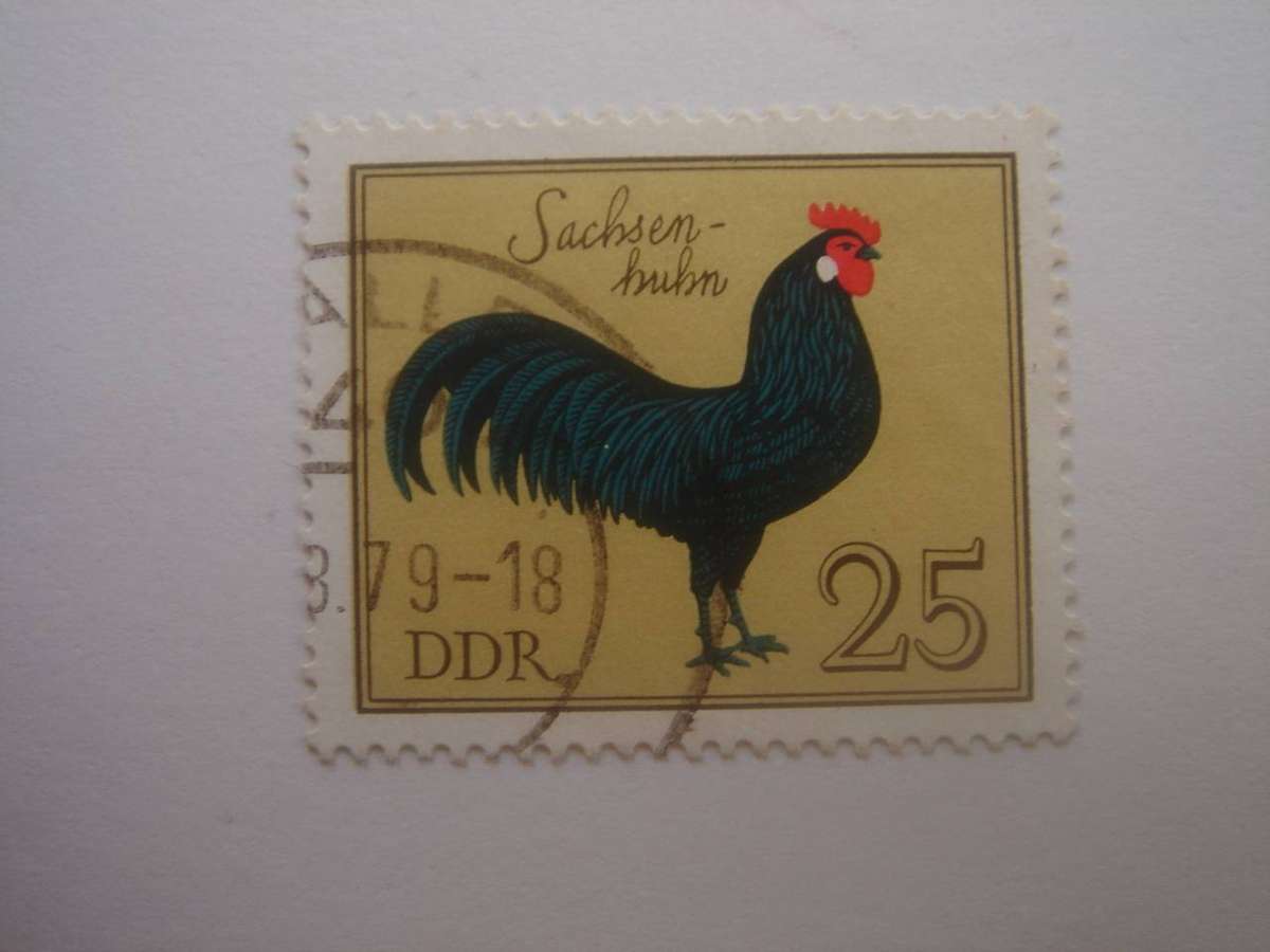 1979 DDR MiNr 2397 used, stamped