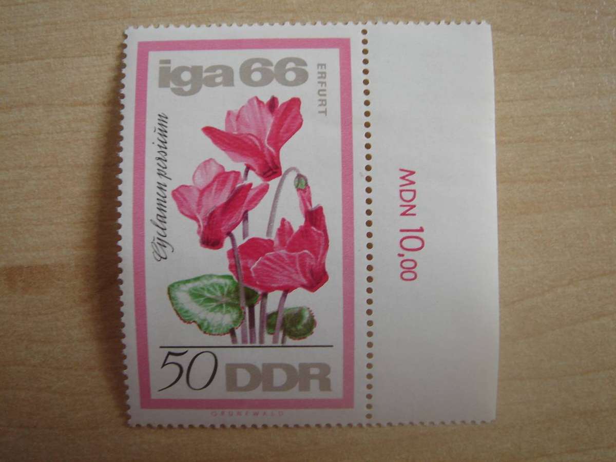 1966 DDR - Blume MiNr 1192 MNH with border