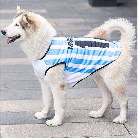 Argentina International Football Jersey for Dog (2 Pack)