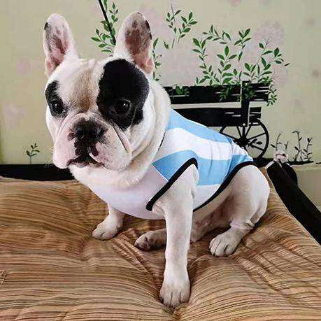Argentina International Football Jersey for Dog (2 Pack)