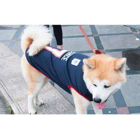 France International Football Jersey for Dog (2 Pack)