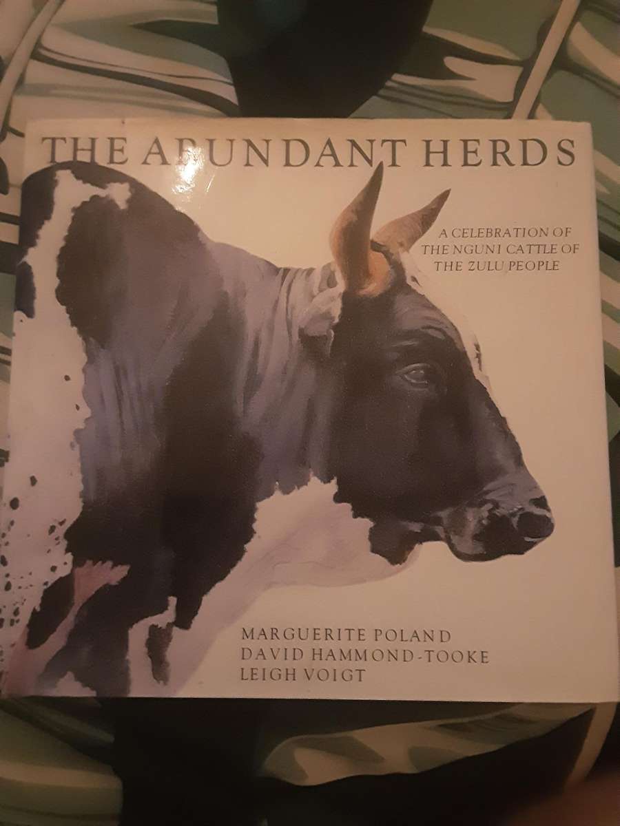 The Abundant Herds Celebration of Nguni Cattle of the Zulu People by M Poland