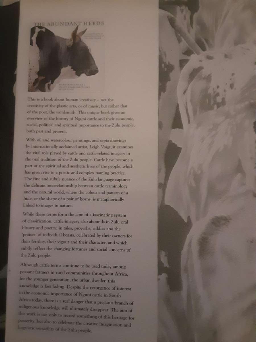 The Abundant Herds Celebration of Nguni Cattle of the Zulu People by M Poland