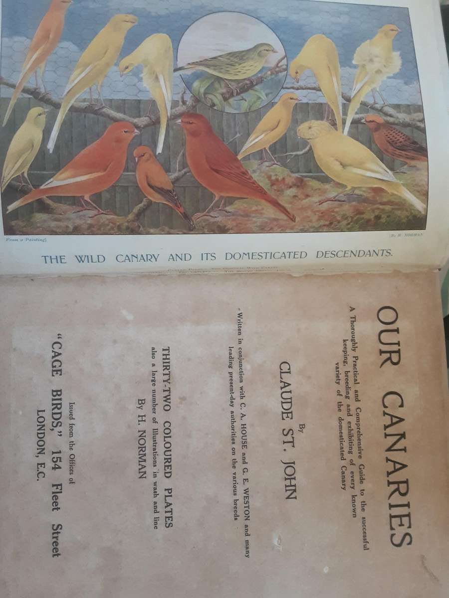 Our Canaries by Claude St John 32 Coloured Plates by H Norman ***Extremely Scarce First Edition***