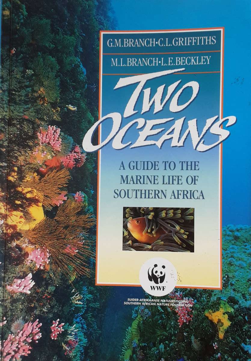 Two Oceans A Guide to the Marine Life of Southern Africa by Branch, Griffiths & Beckley