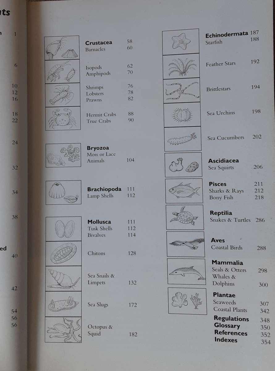 Two Oceans A Guide to the Marine Life of Southern Africa by Branch, Griffiths & Beckley