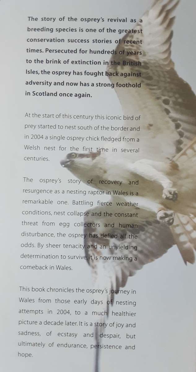 Ospreys in Wales The First Ten Years 2004 2014 by Emyr Evans